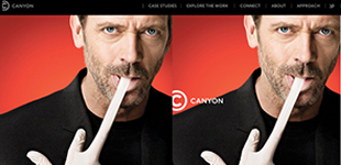 Canyon Design Group